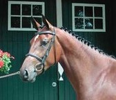 Obrazek